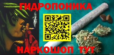 молекула духа Краснознаменск