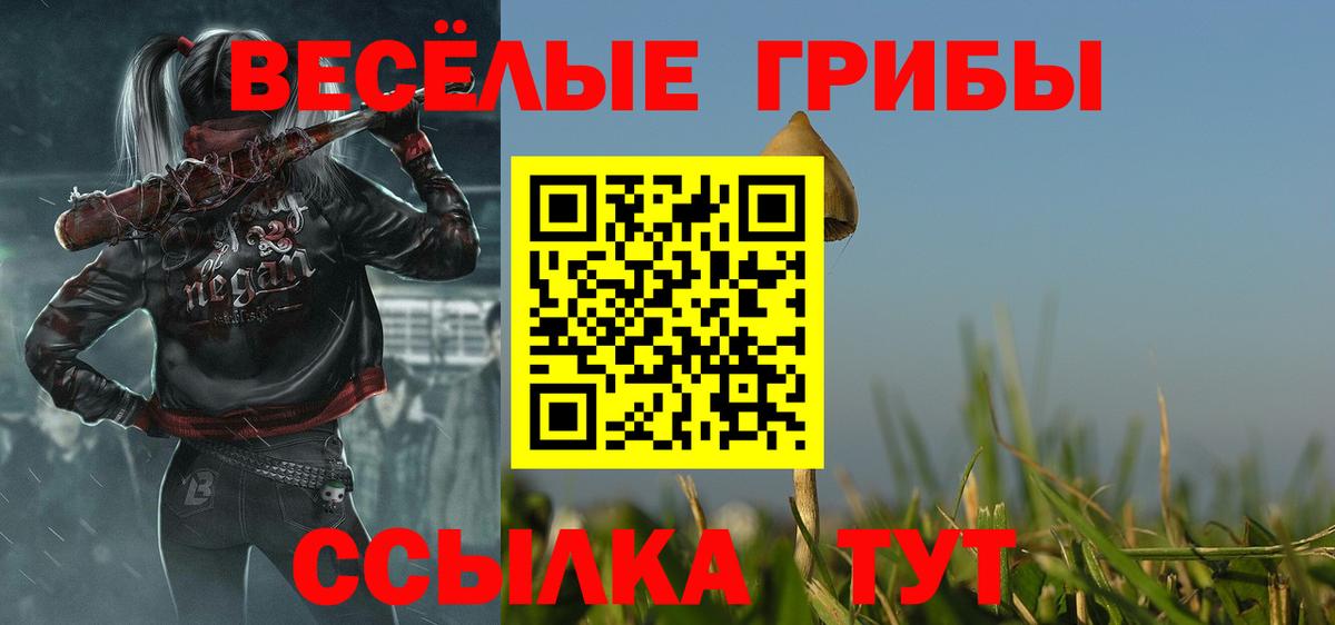 Галлюциногенные грибы мицелий  Галлюциногенные грибы ЛСД  Вход с VPN  Канск 